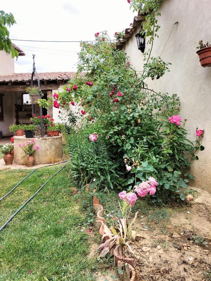 Albergue Don Camino Villalcazar de Sirga Ngoại thất bức ảnh